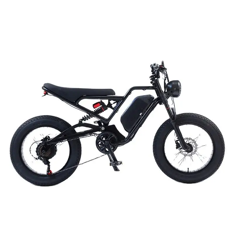 2023 Low price electric city bike 750w e bike Frame EU UK US sell e-bike Frame electric bike for mountain use