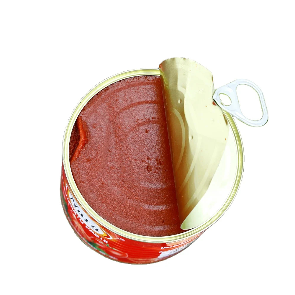 800g Best Brand Organic Canned Tomato Paste Manufacturer with Best Price