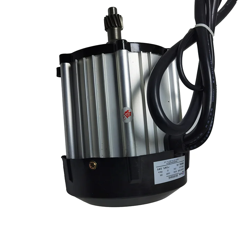 Factory direct wholesale  China Supplier High Efficiency 1000W DC Brushless Motor for electric Elec