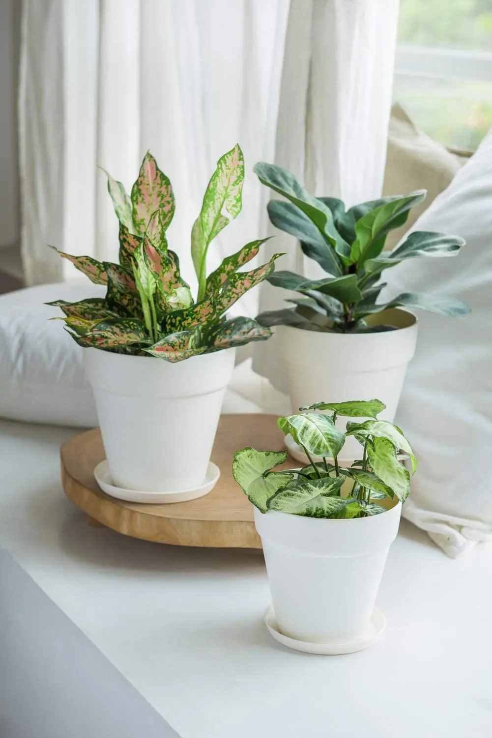 wholesale bulk Custom planters cheap stackable flower pots white eco friendly bamboo fiber garden flower pots