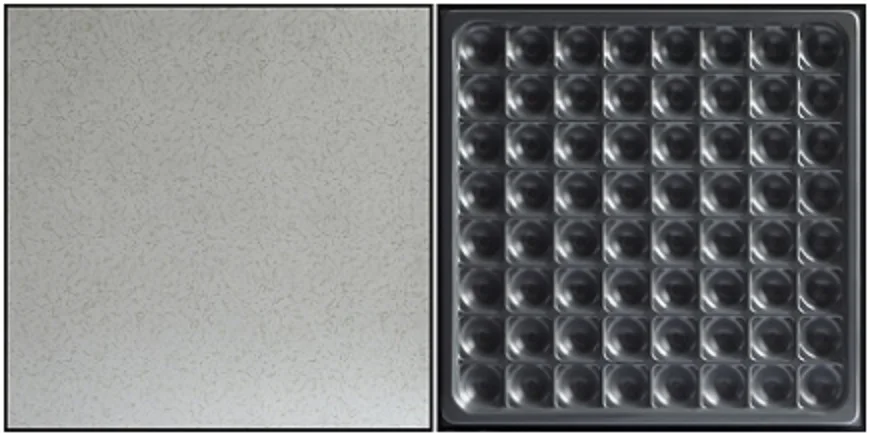 High quality good load bearing antistatic data center floor false floor raised floor