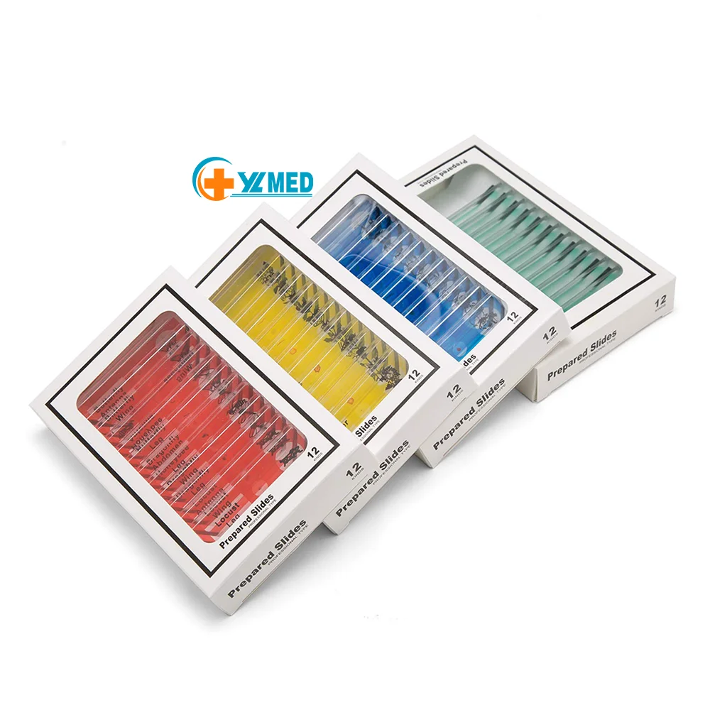 Безопасные материалы биология исследование изучение обучение пластиковый микроскоп слайд для детей