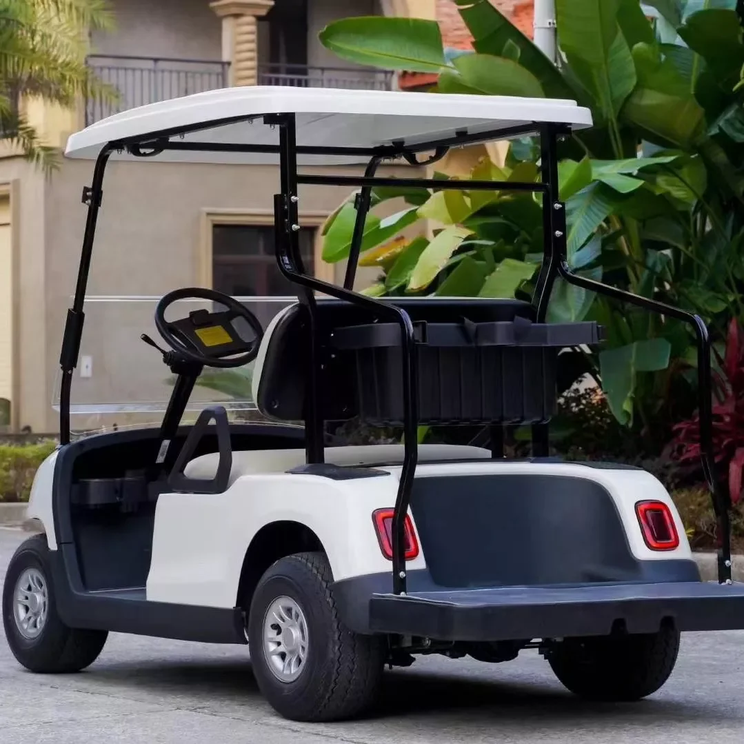 New 2 Seats Good Prices Electric Golf Cart Golf Car with CE Certification WLDT2A