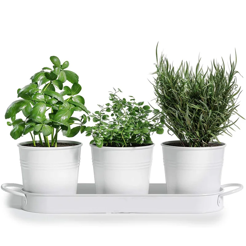 Herb pot planter set with tray for home balcony succulent potted plants