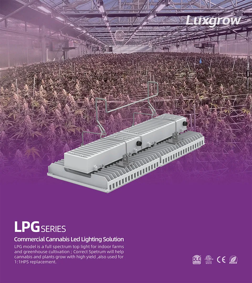 luxgrow top lighting indoor Greenhouse LED Grow Light 800w 1200w OSRAM chip 100-277V for growing medical plant