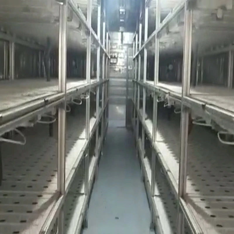 NFT DFT DWC greenhouse Hydroponics