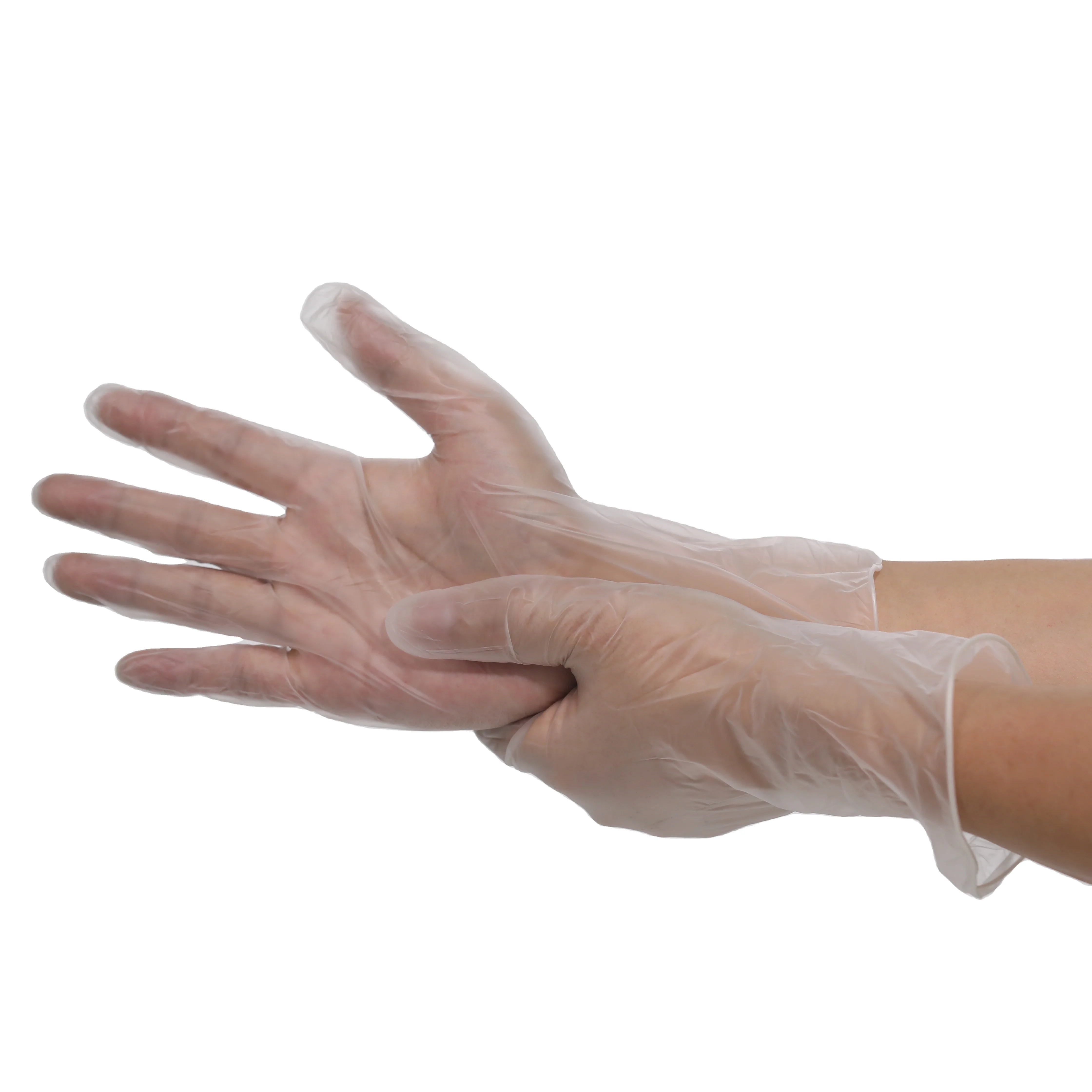 Free Sample  High Cleanliness Softness  Clear Powder Free Non Sterile  Disposable Mould   PVC Vinyl Gloves