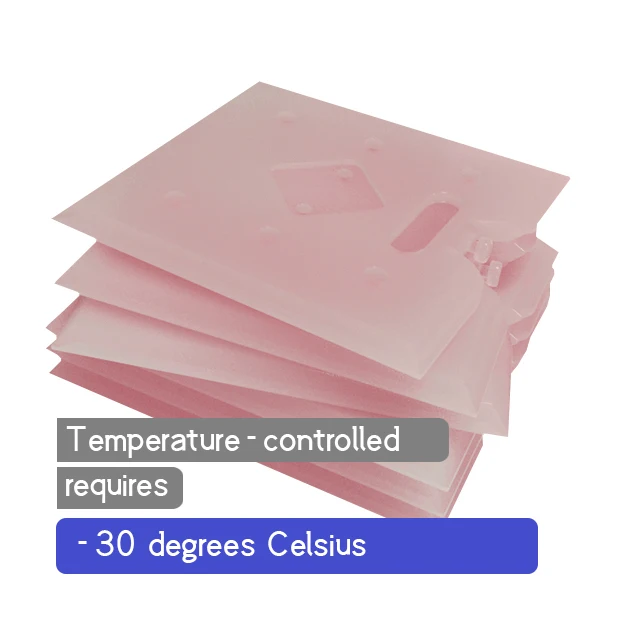 High Technology Hot Sell Cold Chain Logistics Lock Cold Chain Logistics Cold Chain Logistic Bag