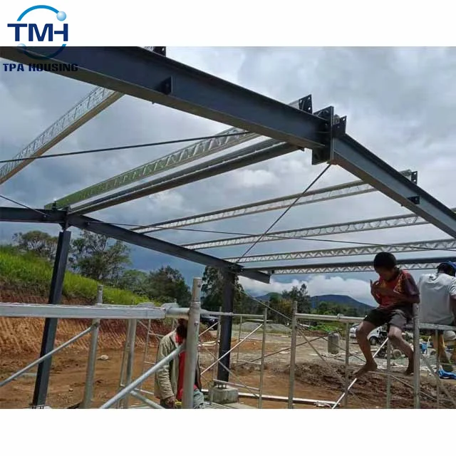 China Factory Poultry Farm Chicken House Broiler House Poultry Farm Steel Structure Farm Shed
