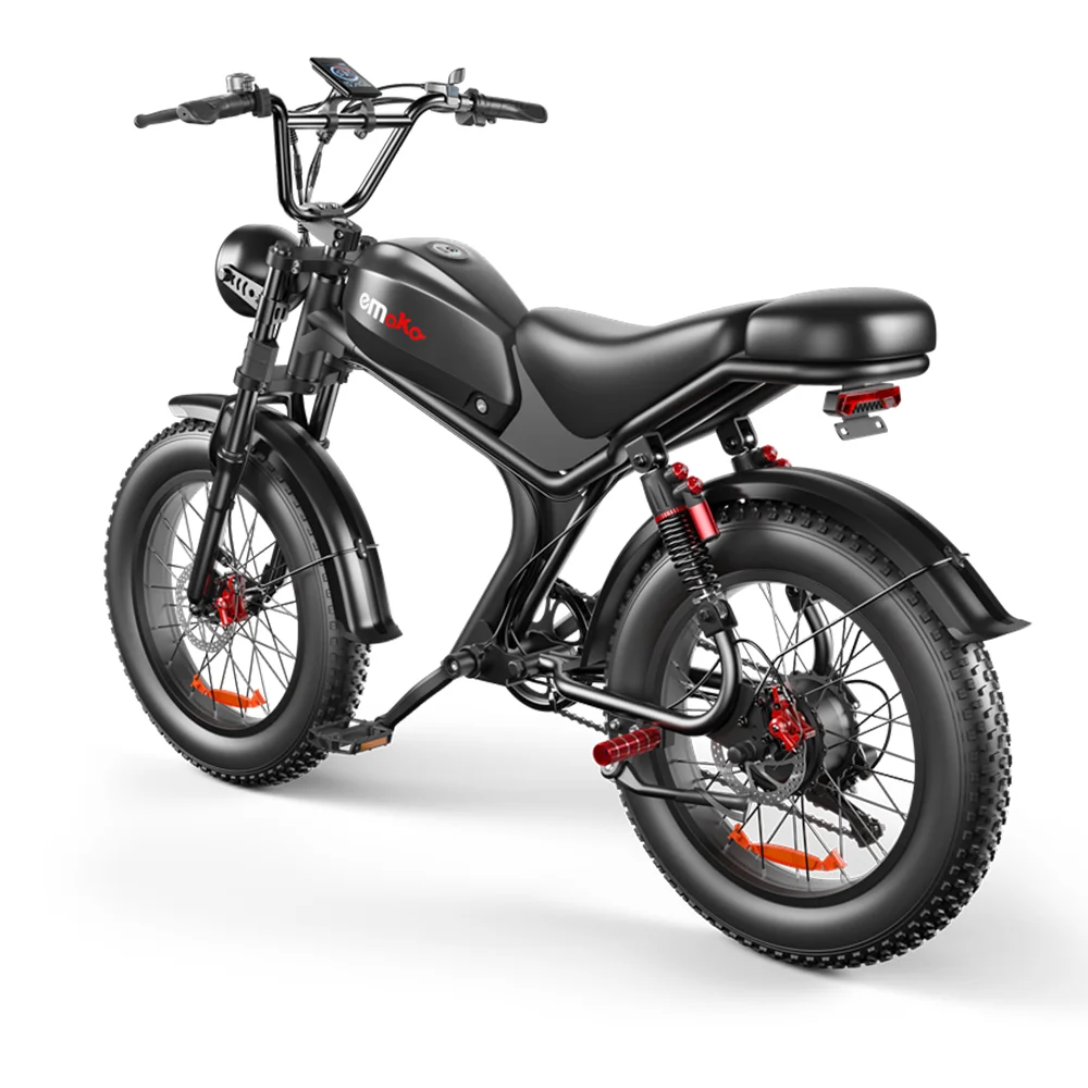 EU US Warehouse 20 Inch 1000w 48v 20Ah Long Range Fat Tire C93 Ebike with Removable Lithium Battery Electric E Bike