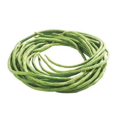 Fresh super delicious taste premium green string beans