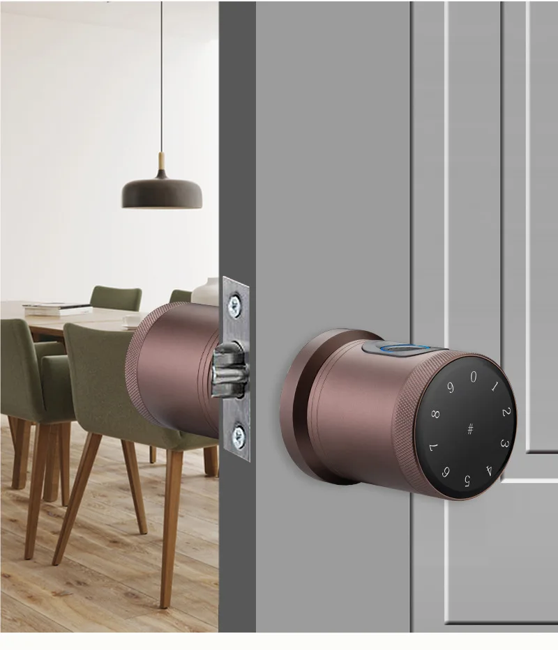 Indoor TT lock spherical smart door lock smart electronic fingerprint password door lock