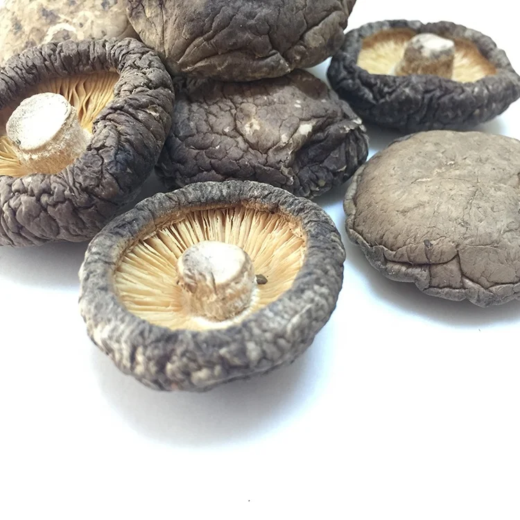 2019 Best Selling Bulk Mushrooms White Or Brown Dried Shiitake Mushroom
