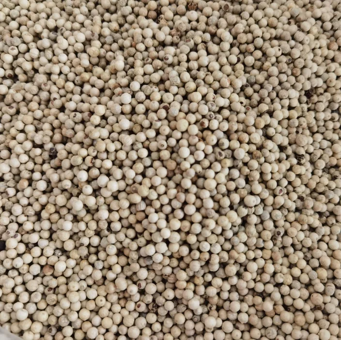 Supply whole Specifications Vietnam White Pepper high quality Peppercorn White Pepper