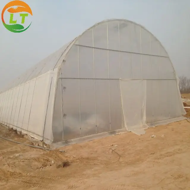 Single Span Plastic Film Agricultural Tunnel Greenhouse