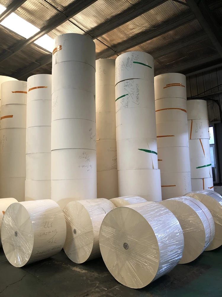 wholesales food grade PE Coated Paper  roll  Raw Material virgin Wood Pulp Paper Cup paper