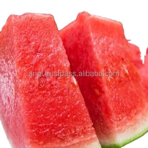 Supplying fresh water melon from Vietnam with top quality _Vikafoods (+84983028718).