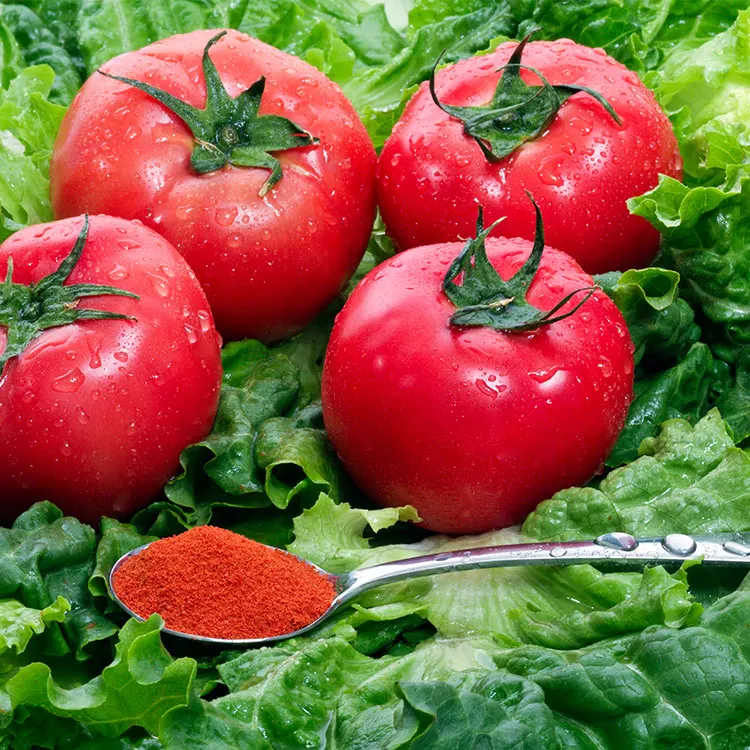 
Pure Lycopene Tomato Flavor Powder 