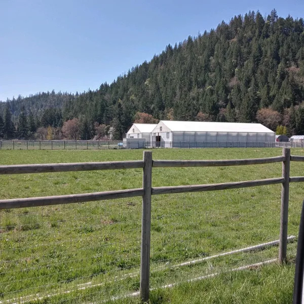 Hot Sale Auto Blackout Light Deprivation Greenhouse Hemp Dep Greenhouse Pc Sheet Greenhouse Agriculture Green House Equipment