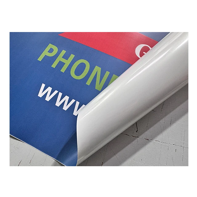 GLP sale custom totoro posters anime posters luffy wanted posters