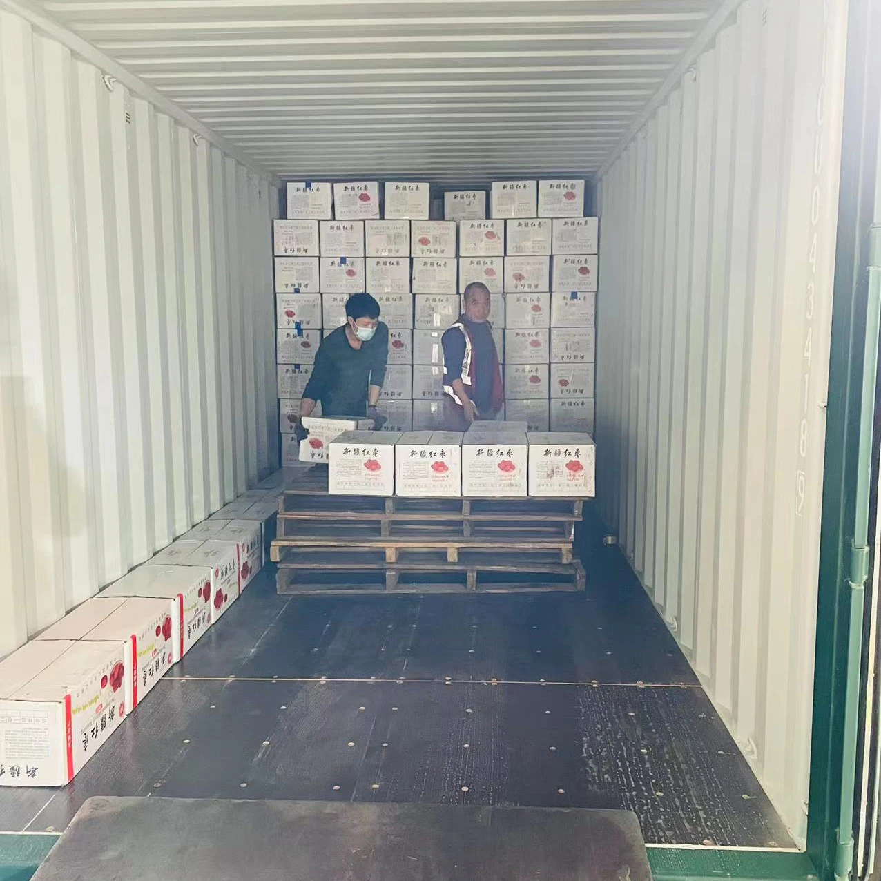 Bikini Swimsuit Dried Datemulticolorbags 1kg*10bags Swimwear Red Cheap Xinjiang Chinese Dried Fruit AD Normal Temperature Cold /