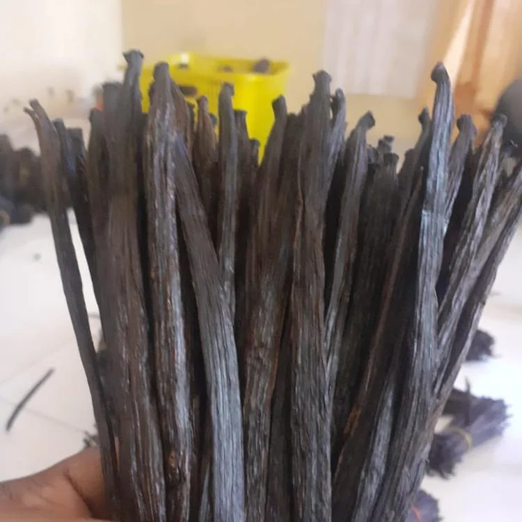 vanilla beans (2).jpeg
