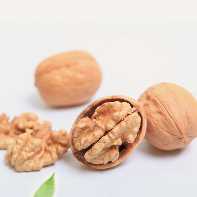 
Excellent Quality Thin-Skin Raw Walnut With Shell In Bulk Wholesale 