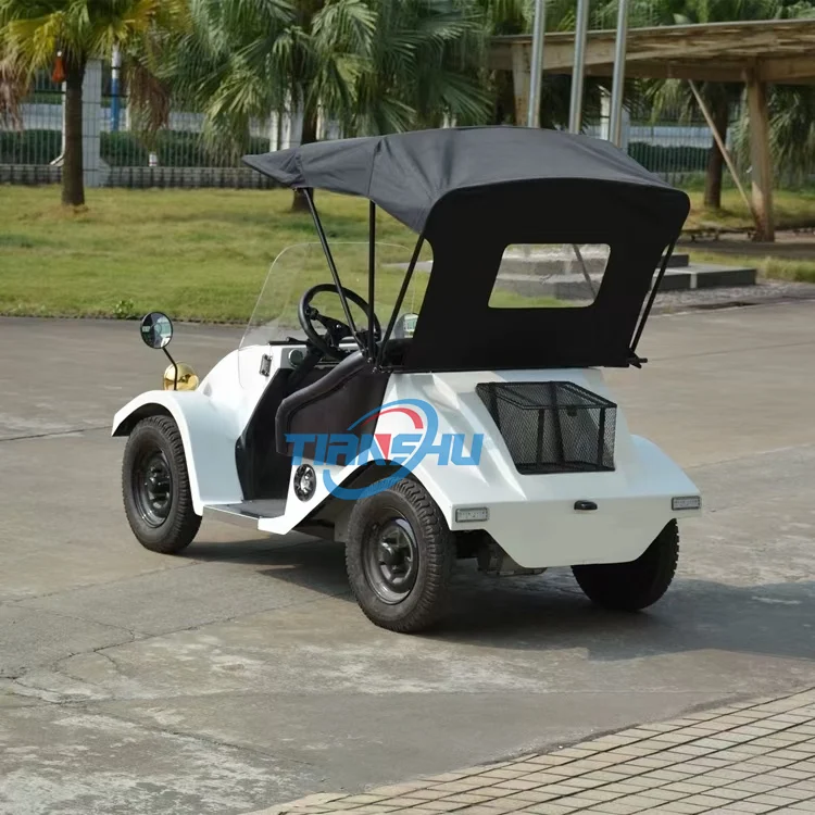 Mini New Electric Cars with 2 Seater Sightseeing Vintage Car