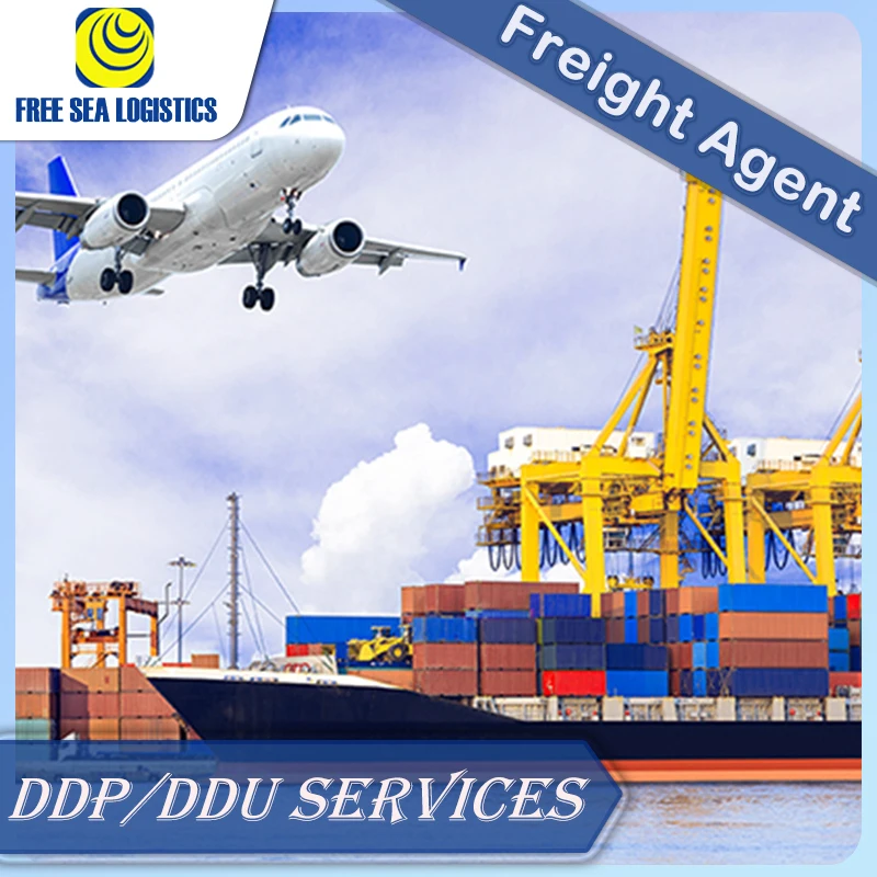 Best Door To Door Sea Freight Shipping Agent From Guangzhou China To Czech Belgium Greece Bulgaria ddp FBA LCL