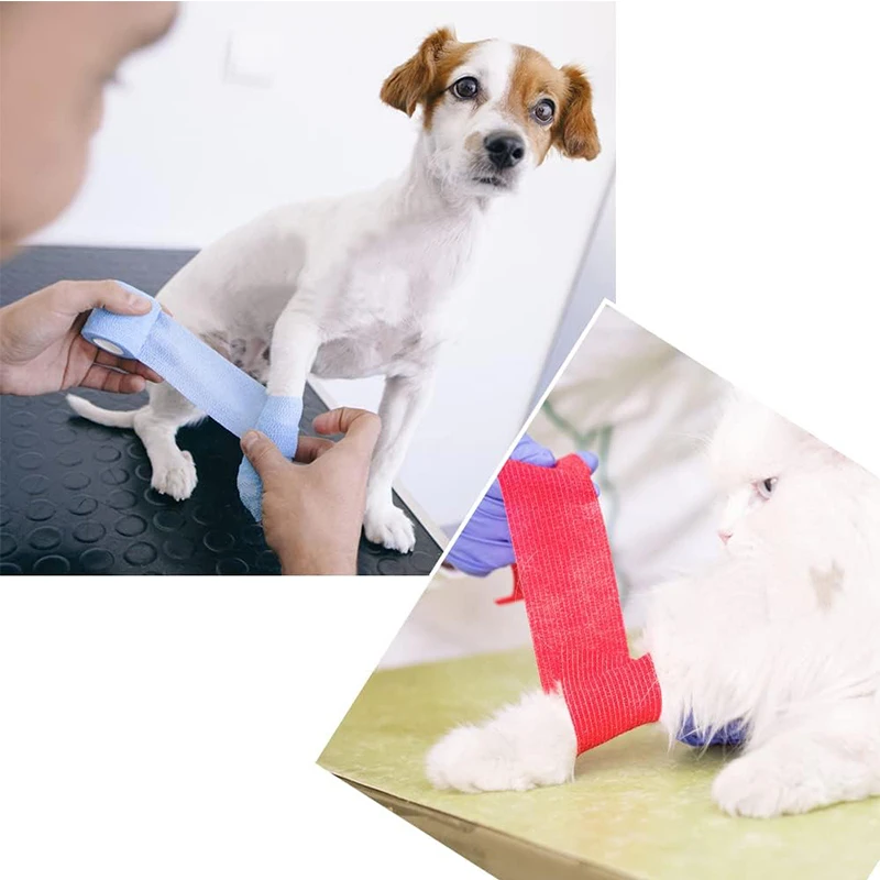 Wholesale Customized Winding Self Adhesive Elastic Physical Bandage for Therapy and Sports