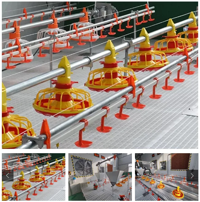 Chicken Cage Broiler Floor Raising Equipment Suppliers Automatic Chicken Feeding System