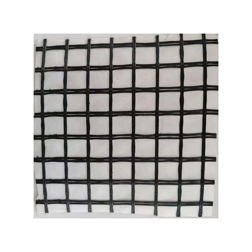 
China supplier quality composite geogrid 