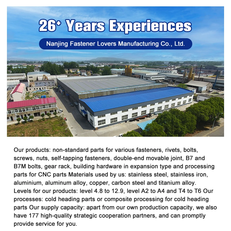 Moto Master Disc Mounting Bolts Customized Fastener M6 M10 M5 M12 M4 M2 Thread Forming Screws