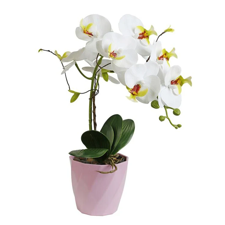 Factory Large Artificial Orchid Flower Arrangement Home Decor Green Plant Pot White Orchid Real Touch Latex Big Orchid In Pot