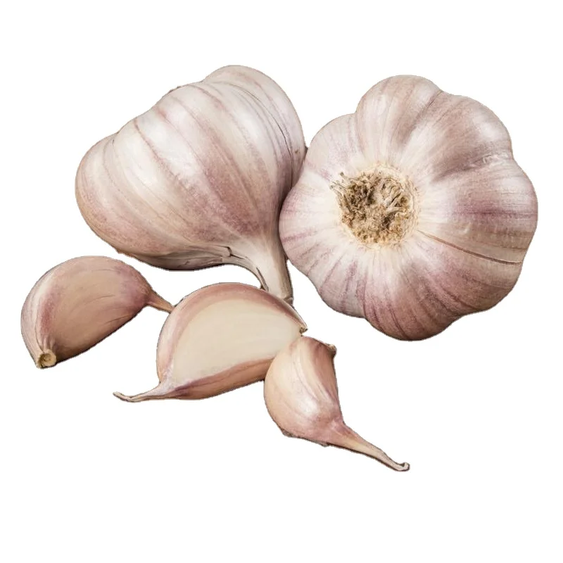 2022 wholesale bulk price Garlic seeds fresh