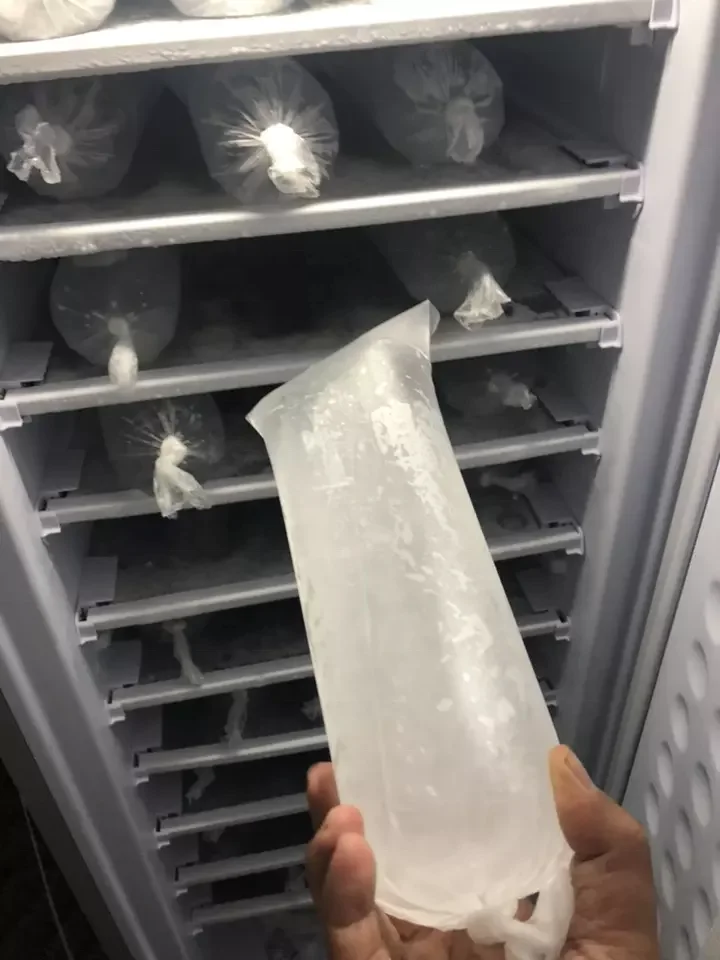 60-70KG/24h Ice production Solar Ice maker freezer