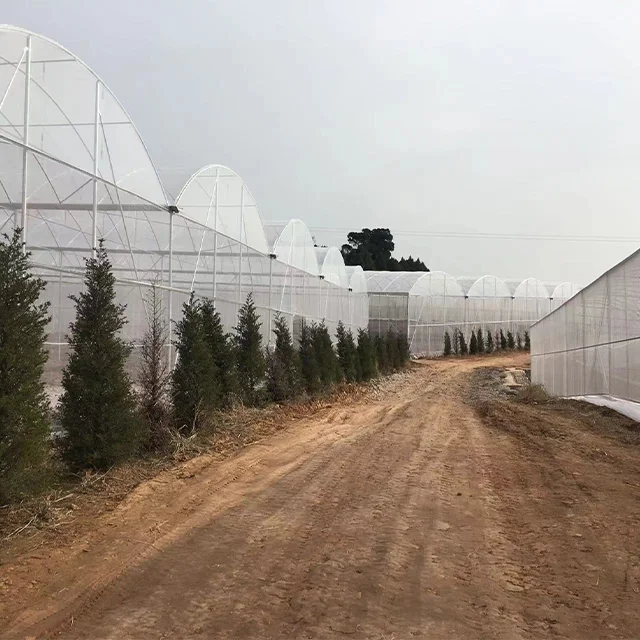 High Productivity Large Plastic Shed metal frame Motor-Ventilated Film Greenhouse