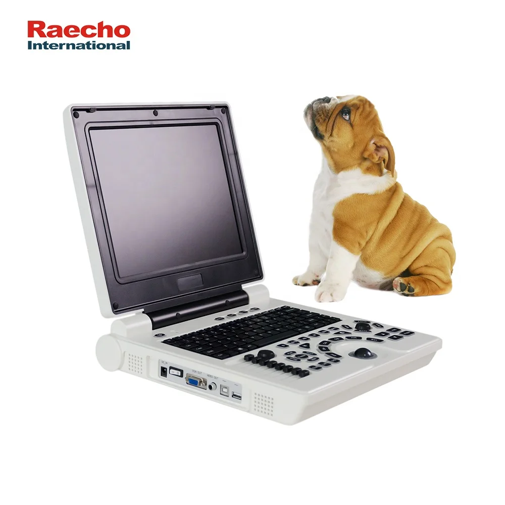 Medical Laptop Animal B/W Ultrasound Machine