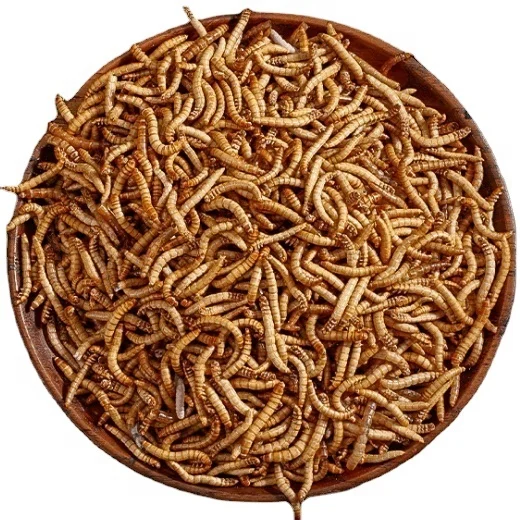 Dried Mealworms for Animal Food hamster snacks
