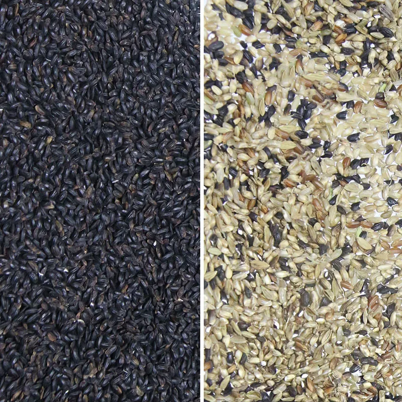 Custom equipment Processing machinery Large rice sorting machine Rice classifier rice processing mill color sorter rice