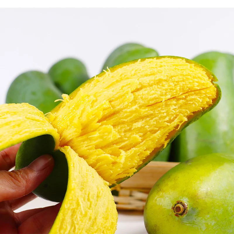 
Hot Selling 20cm A Level Oval Vietnam Sweet Fresh Yellow Mango 