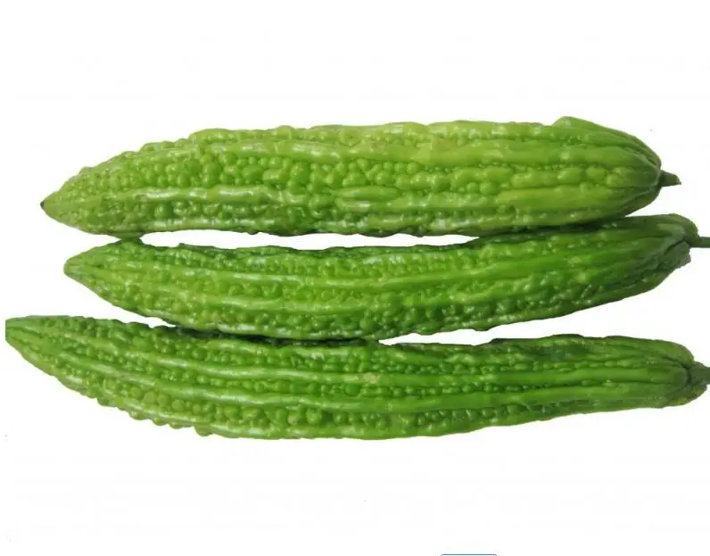 Lvyuan F1 hybrid bitter gourd melon seeds super early maturity high yield disease resistant