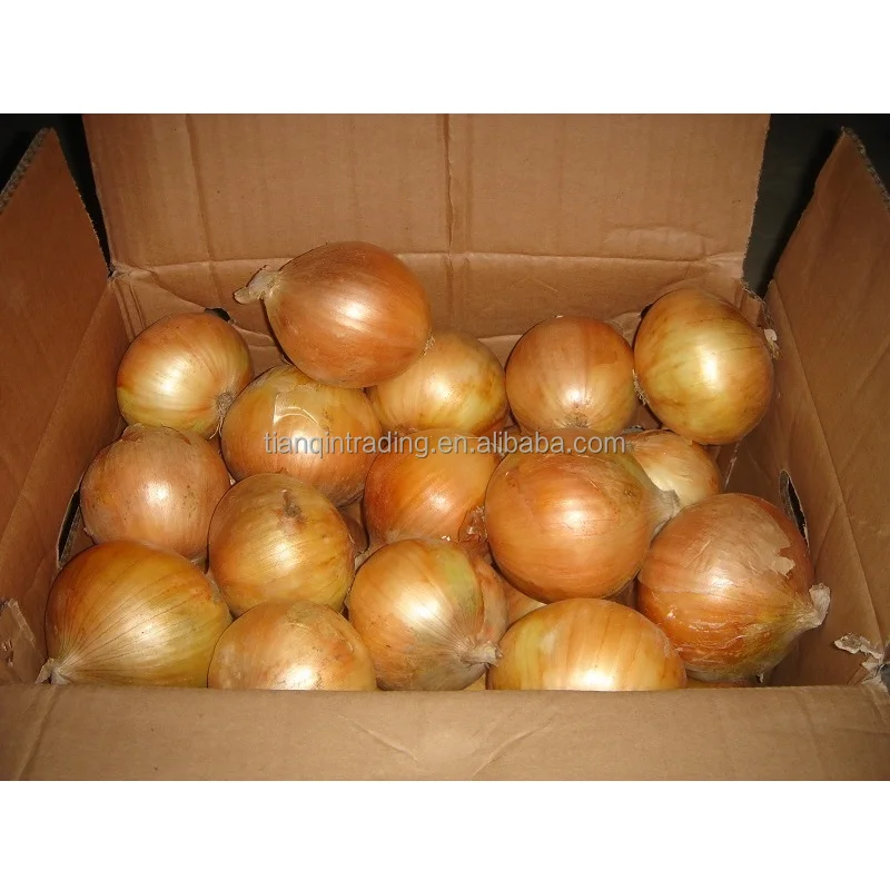 2022 лук по оптовой заводской цене в Китае