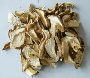 
Detan Dried Sliced Boletus Edulis Market Prices Phlebous Portentosus mushroom 