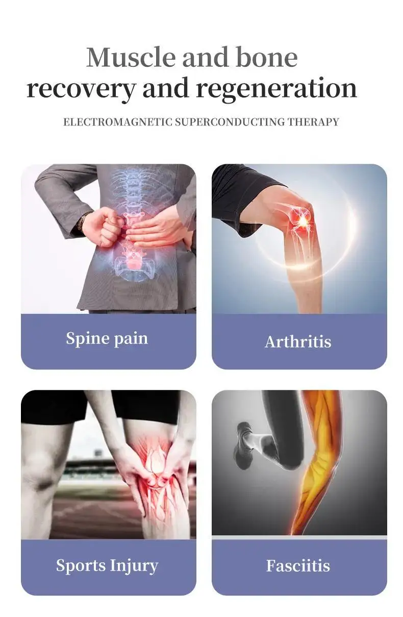 physio Plus sports pemf magnetic device machine magnetotherapy magneto therapy pulsed electromagnetic field magnetoterapia