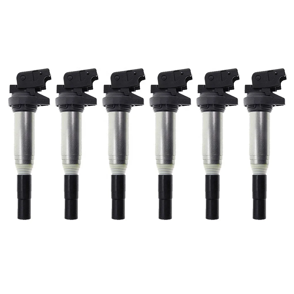 New Direct Ignition Coils For BMW Models Equipped with Delphi Coils 12138616153*6pcs