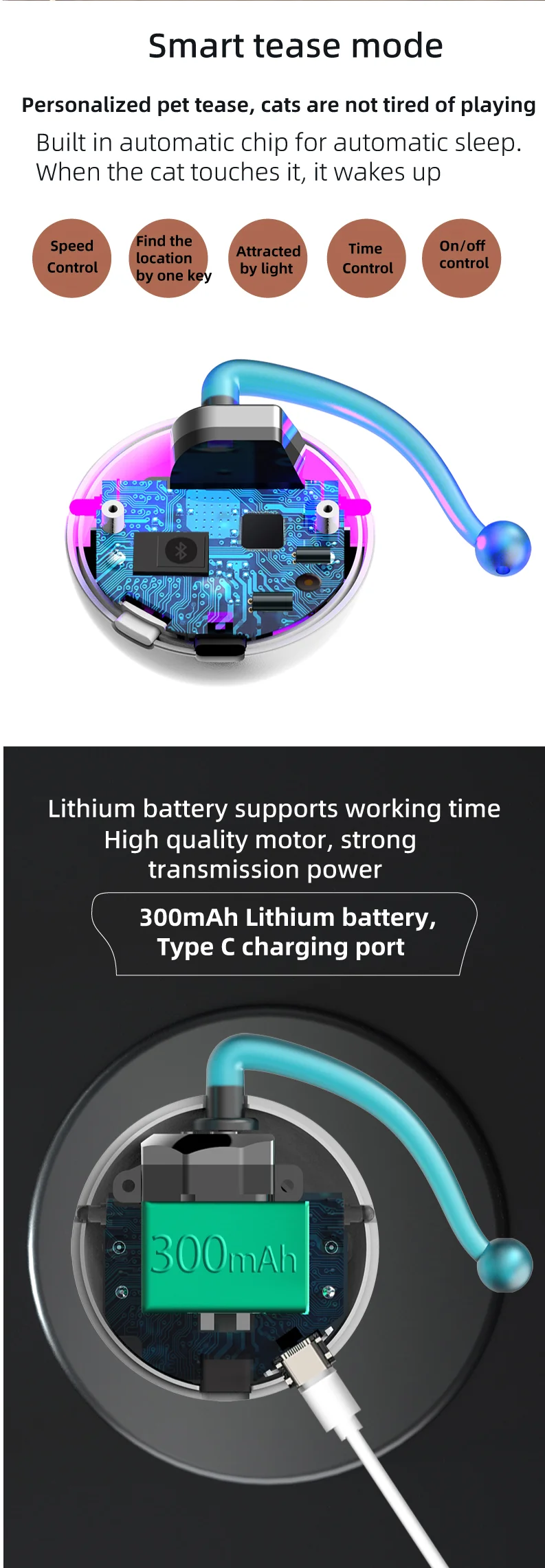 WP8631----_06.png
