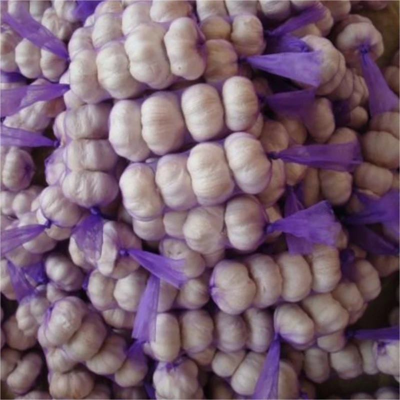 Preferential Price Natural 100% Pure White Fresh Garlic Press Onion Katsu Curry Sauce Oriental Flavor Seasoning Chicken Breast