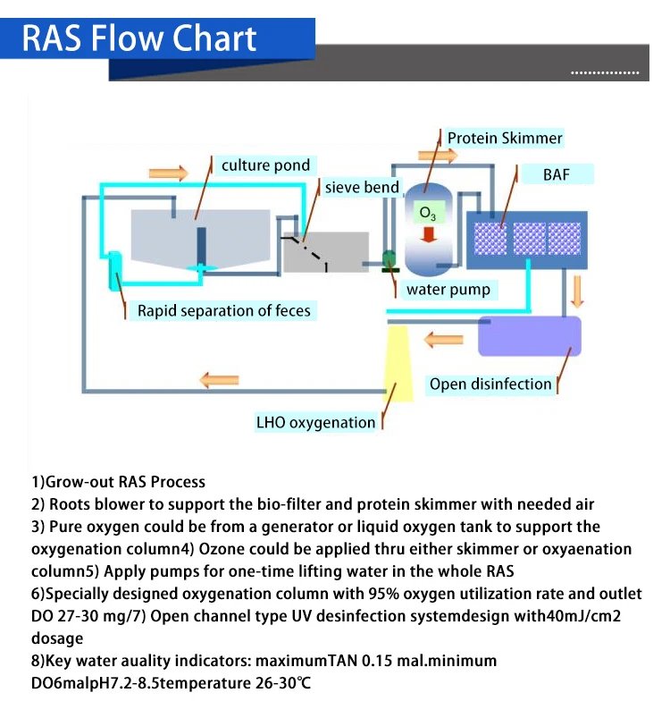 Aquaculture Biological Filter Recirculating Aquaculture System/RAS/Fish Grow Out System