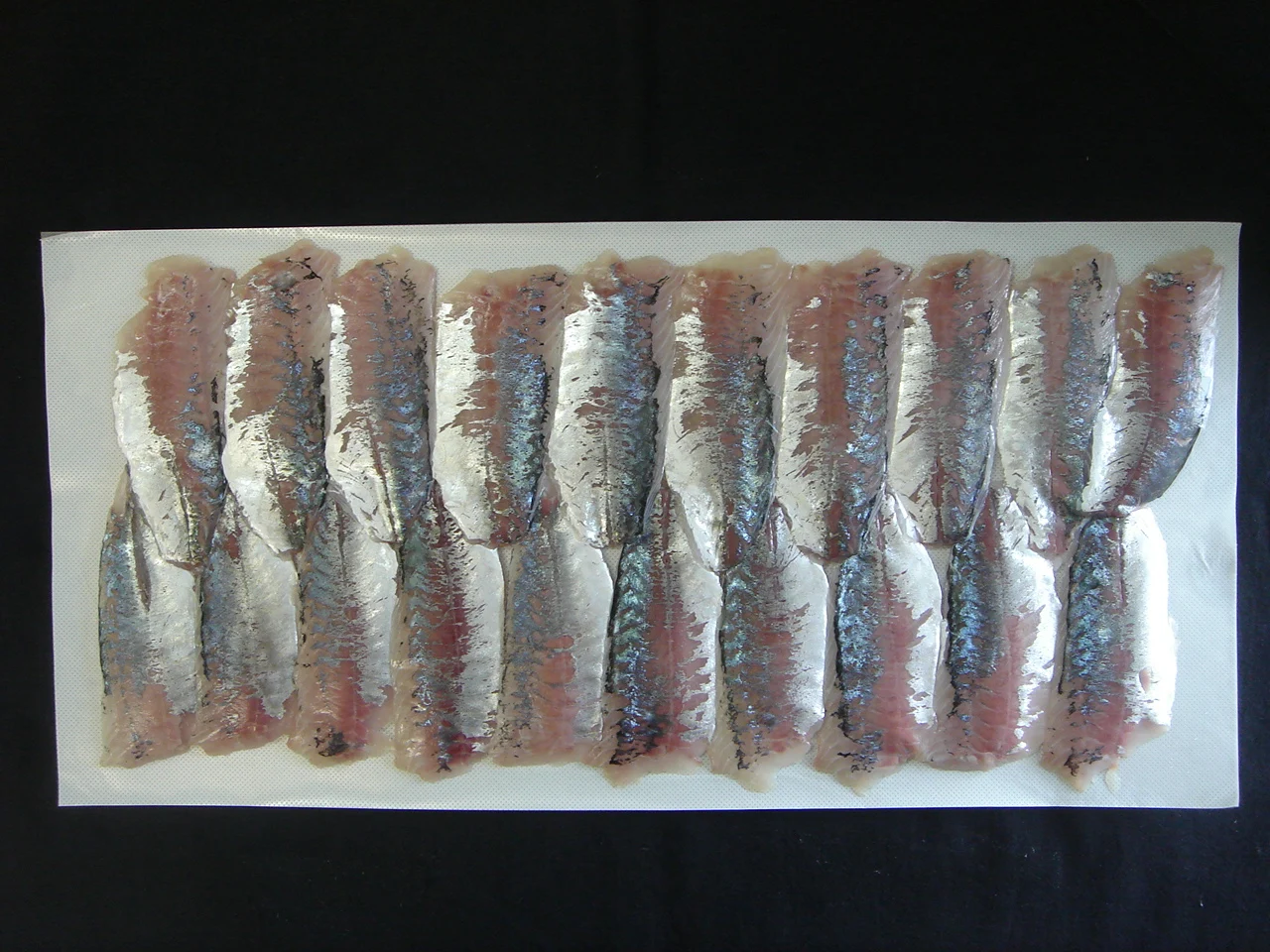 High quality good texture fresh mackerel fish frozen for sale